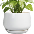 G EPGardening Ceramic Planter 9 Inch by GEPGardening