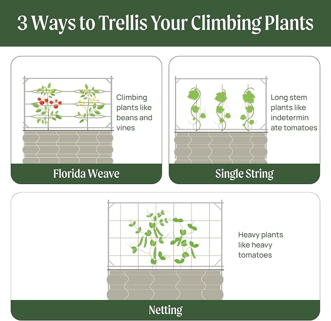 Vego Garden Metal Frame Tomato Trellis, Garden Trellis - Image 7