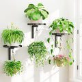 iDavosic.ly Wall Plant Holder Set of 3 by iDavosicly