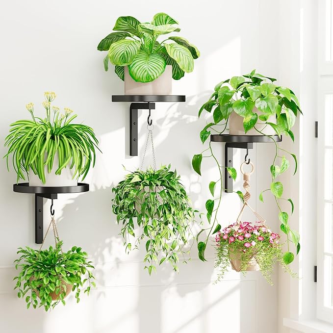 iDavosic.ly Wall Plant Holder Set of 3 by iDavosicly