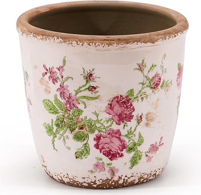 Vintage Ceramic Planter with Drainage Hole, Plastic Tray & Mesh, 5.5 Inch by TEWEIQI