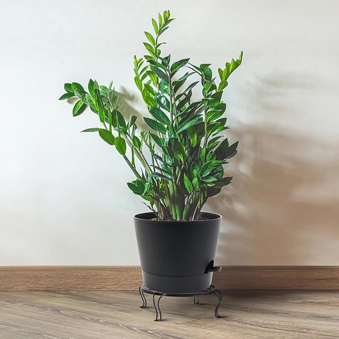 Self Watering Pots for Indoor Plants, 12 inch Planters - Image 7