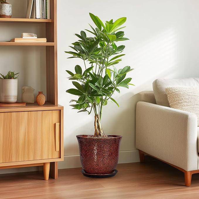 10 Inch Plant Pot - Image 4
