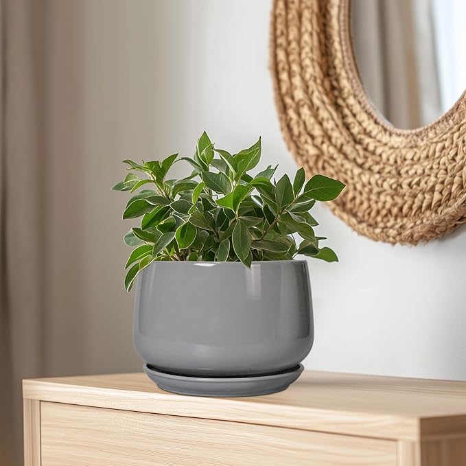 G EPGardening Ceramic Plant Pots - Image 6