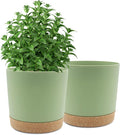 QCQHDU 10 inch Plant Pot, 2 Pack Planters by QCQHDU