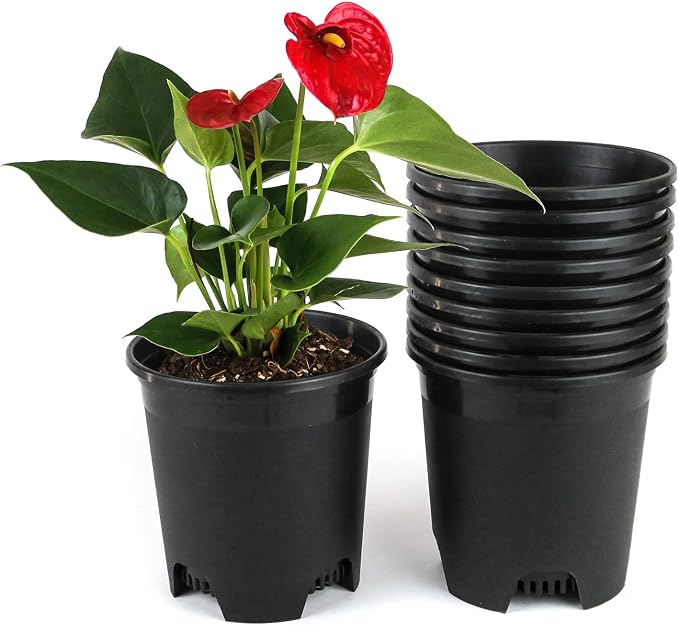 Wholesale Bulk Nursery Pot 5.5 Inch Black Plastic Planters 30-Pack 0.5 Gallon by CottaPlanters