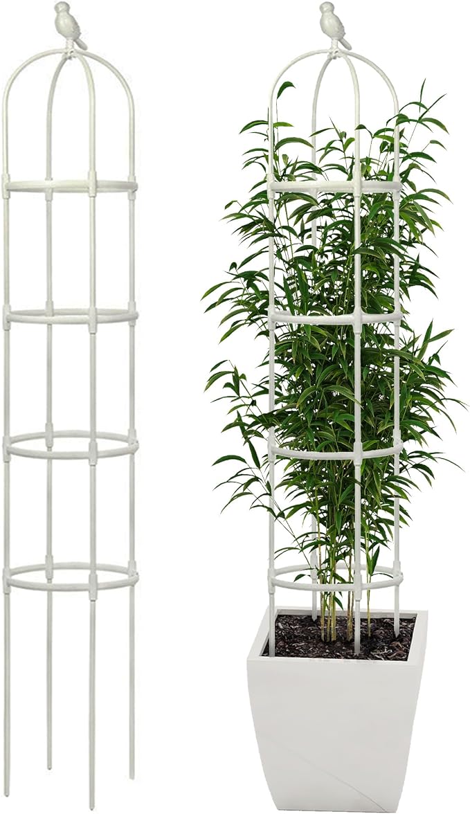 Garden Trellis for Climbing Plants, Rustproof Metal Pipe by CJGQ