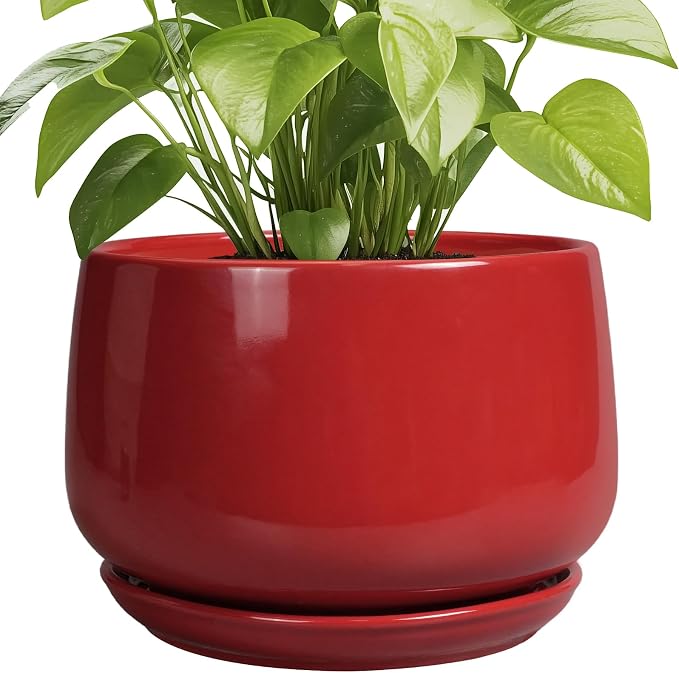 G EPGardening Ceramic Plant Pots by GEPGardening
