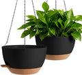 13-inch Oversized Hanging Planter Set of Two, Planters by Unknown