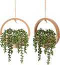 Floweroyal 2pcs Artificial Succulents Hanging Plants 12.2'' Fake String of by FloweroyalCrafts