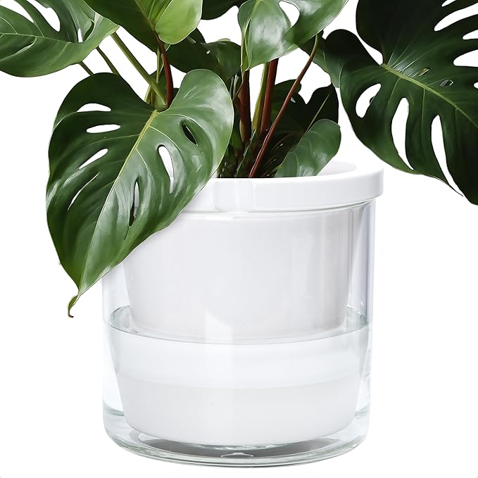D'vine Dev 10 Inch Design Self Watering Planter by DvineDevPlanterPotsandStand