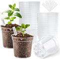 4 Inch Clear Nursery Pots for Plants, Plastic Plant Pot by BTPLASTIK