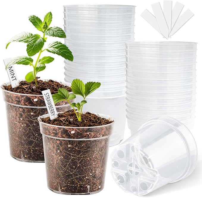 4 Inch Clear Nursery Pots for Plants, Plastic Plant Pot by BTPLASTIK