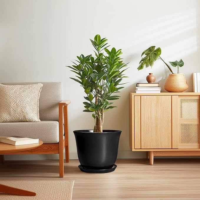Ceramic Plant Pots - Image 7