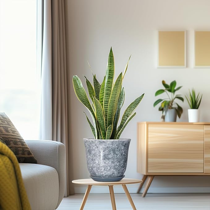 Ceramic Plant Pots - Image 5