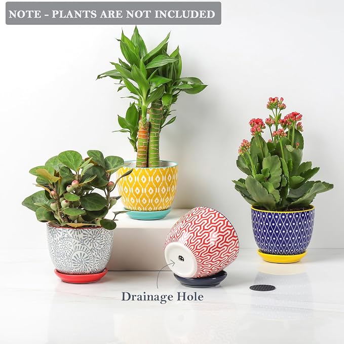 Selamica Ceramic Succulent Pots - Image 4