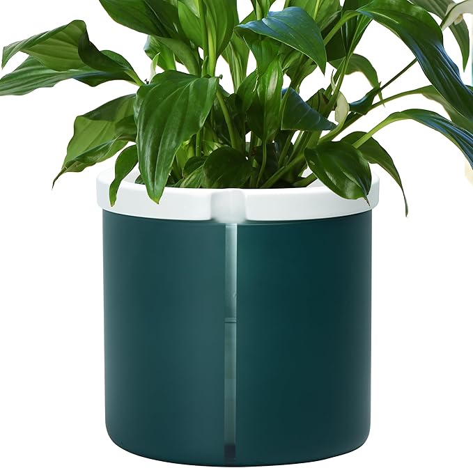 D'vine Dev 10 Inch Design Self Watering Planter by DvineDevPlanterPotsandStand