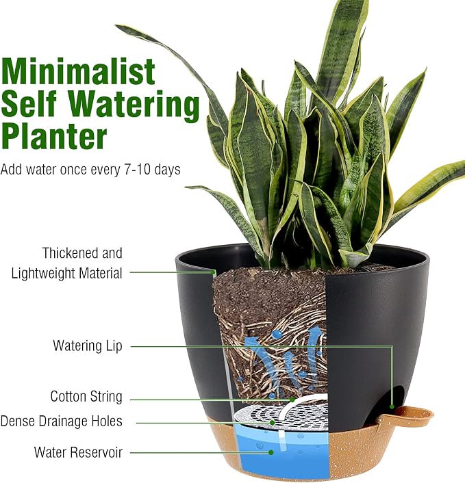 10/9/8 inch Self Watering Pots - Image 3