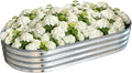 Galvanized Raised Garden Bed Outdoor, Large Raised Bed by VivaGarden