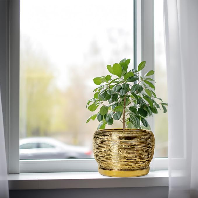 SQOWL Ceramic Flower Pot - Image 4
