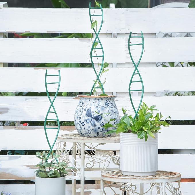 Indoor Plant Trellis for Potted Plants - Image 6