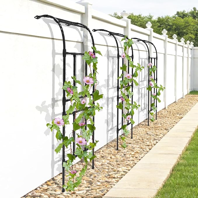 Half Garden Arch - Image 7