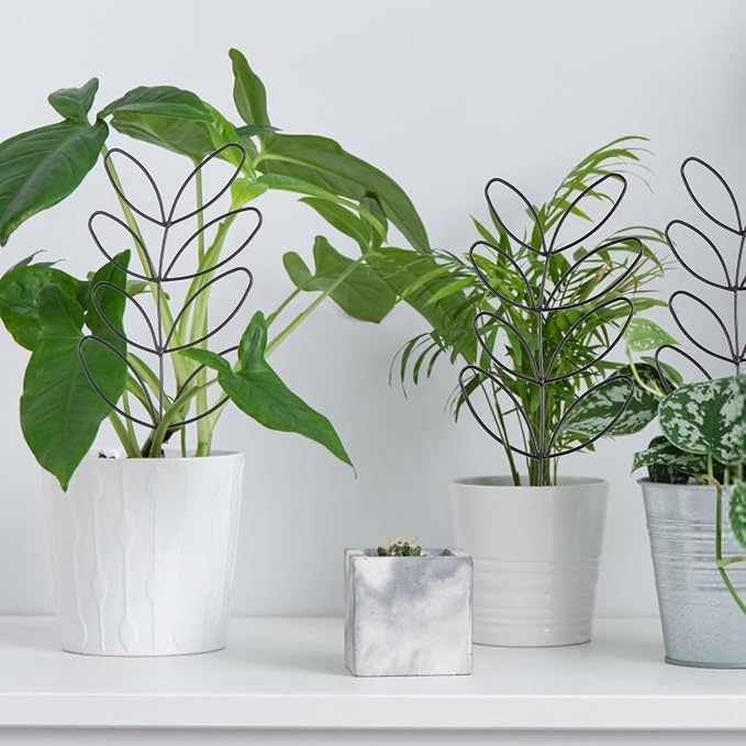2 Pcs Plant Trellis Indoor, Plant Support - Image 2