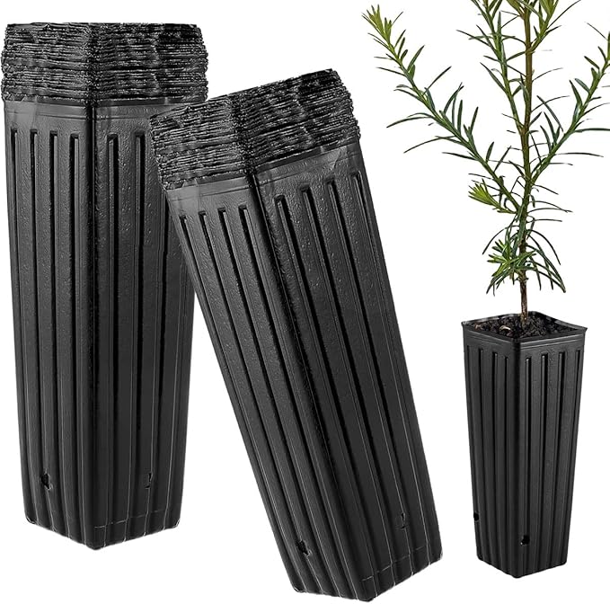 DredQcco Tall Deep Tree Pot by DredQcco