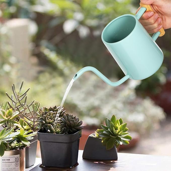 Watering Can Indoor Plants, 35 oz/1000 ml Metal Stainless Steel Watering Can Pot - Image 2