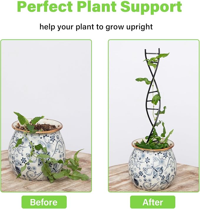DNA Spiral Plant Trellis Indoor - Image 3