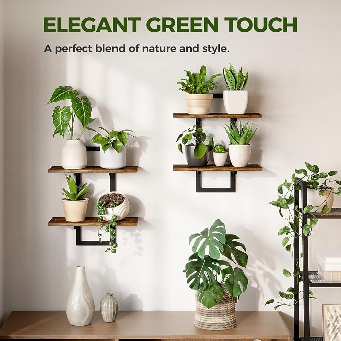 Bamworld Floating Shelves for Wall Planters for Indoor Plants Hanging Shelves - Image 4