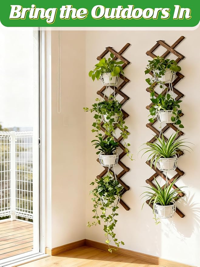 Pack of 4 Extra Thick Wooden Wall Trellis - Image 5