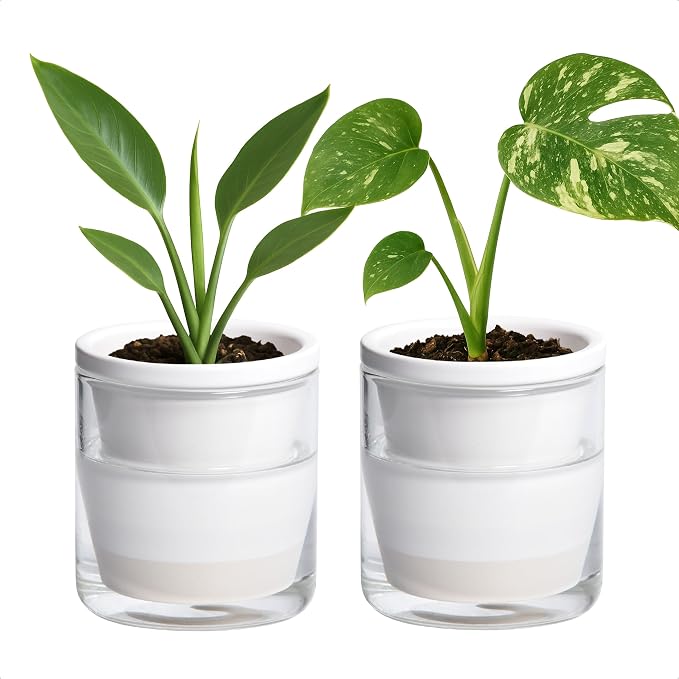 D'vine Dev 4 Inch Design Self Watering Planter by DvineDevPlanterPotsandStand