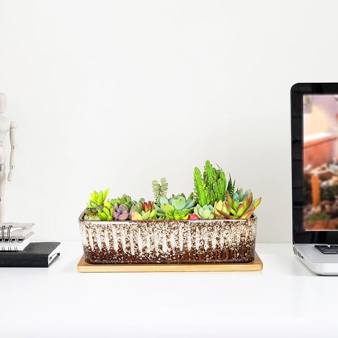 Succulent Pots - 12 Inch Large Succulent Planters - Image 5