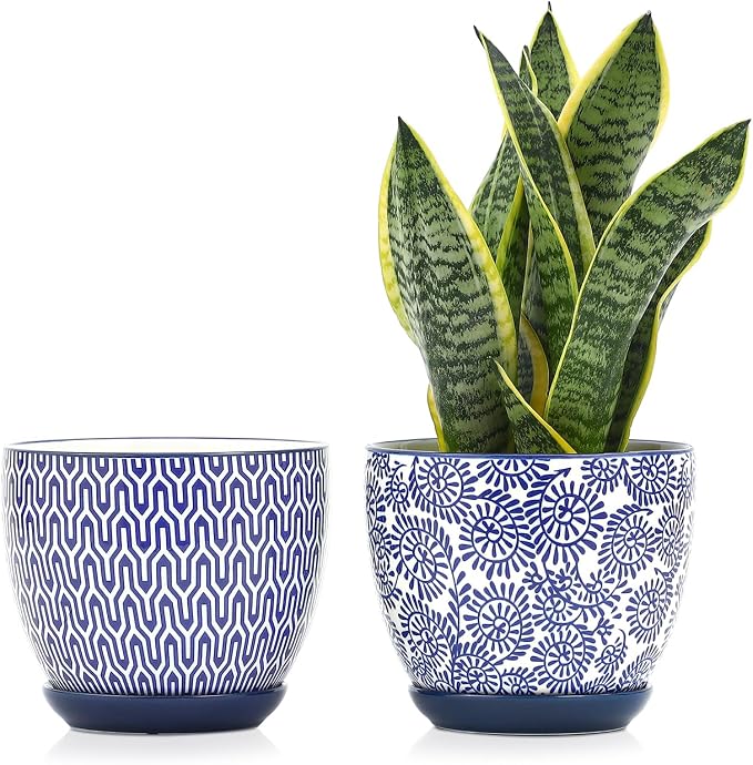 Selamica Ceramica Plant Pots, 6.5 Inch Flower Pots Set of 2 by Selamica