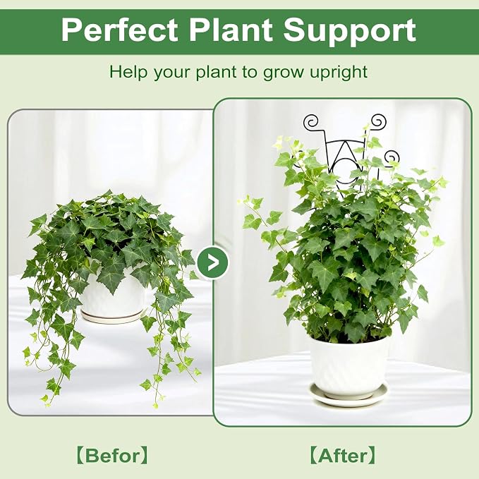 Indoor Plant Trellis for Climbing Plants 2 Pack Small Garden Metal Support for - Image 4
