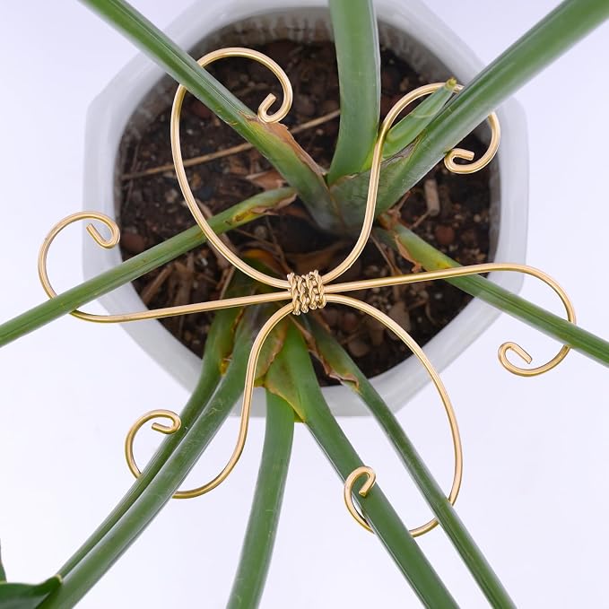 Monstera Plant Stem Support Set of 5 by Yohsnor