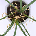 Monstera Plant Stem Support Set of 5 by Yohsnor