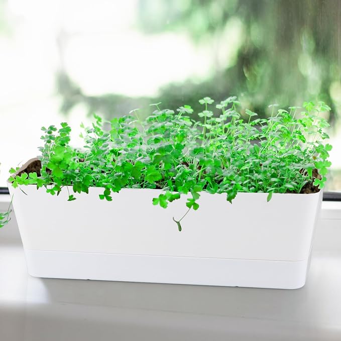 Window Box Planter with Tray - Image 7