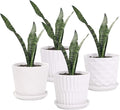 Plant Pots - 5.5 Inch Cylinder Ceramic Planters by sietpoek