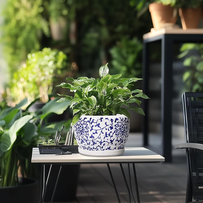 SQOWL Ceramic Pots for Plants - Image 5