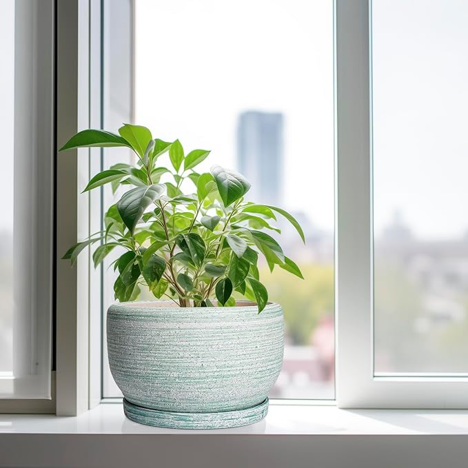 SQOWL Ceramic Pots for Plants - Image 4