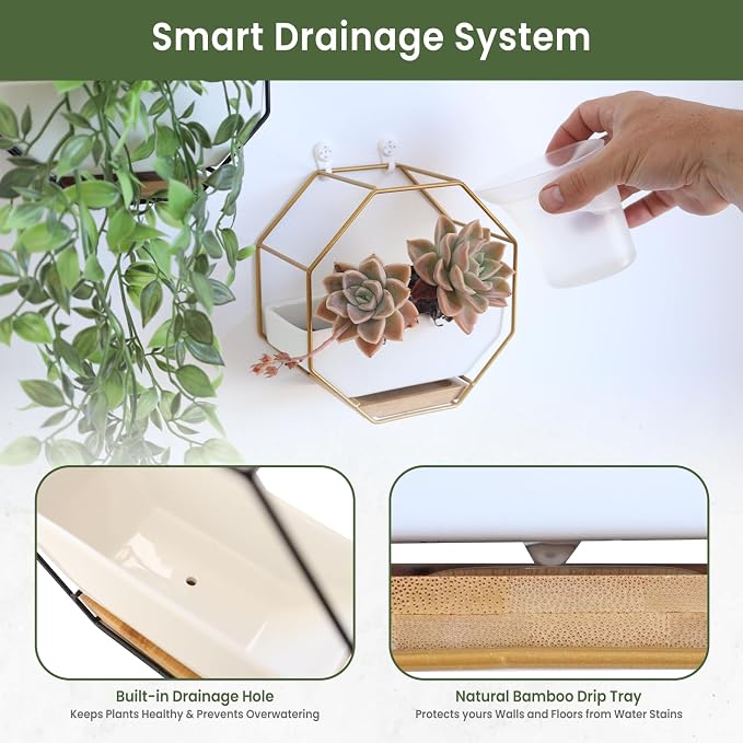 IRYL Wall Planter for Indoor Plants - Image 2