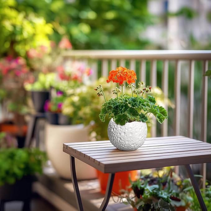 4 inch Plant Pots - Image 6