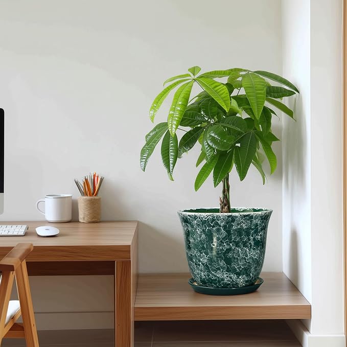 Ceramic Plant Pots - Image 7