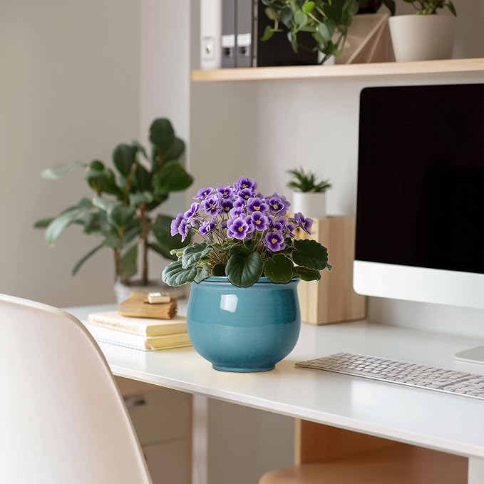 African Violet Pots 6 Inch, Ceramic Self Watering Pot - Image 3