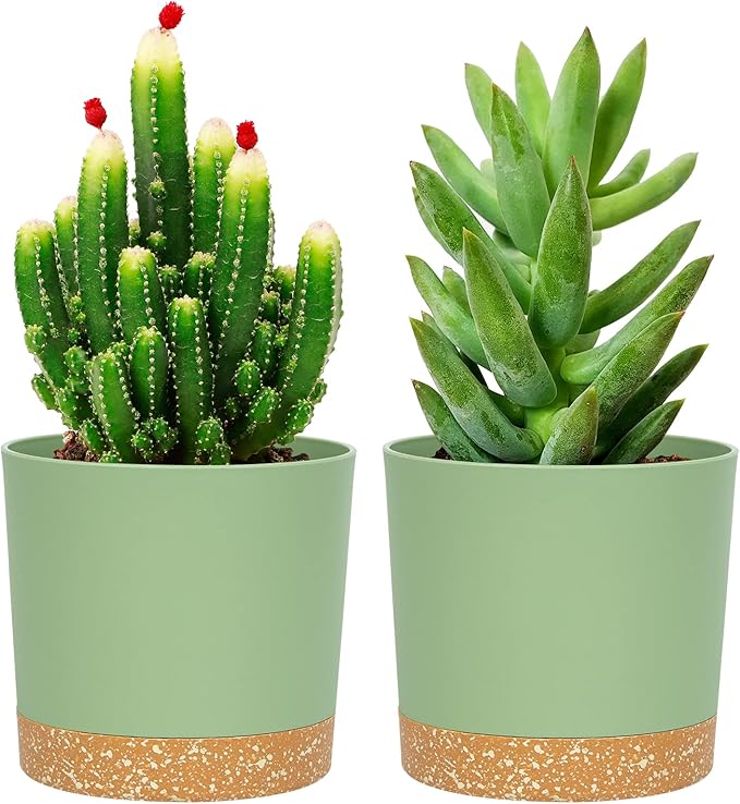 QCQHDU 5 inch Plant Pot, 2 Pack Planters by QCQHDU