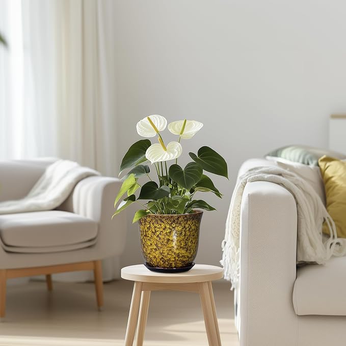 Ceramic Plant Pots - Image 7