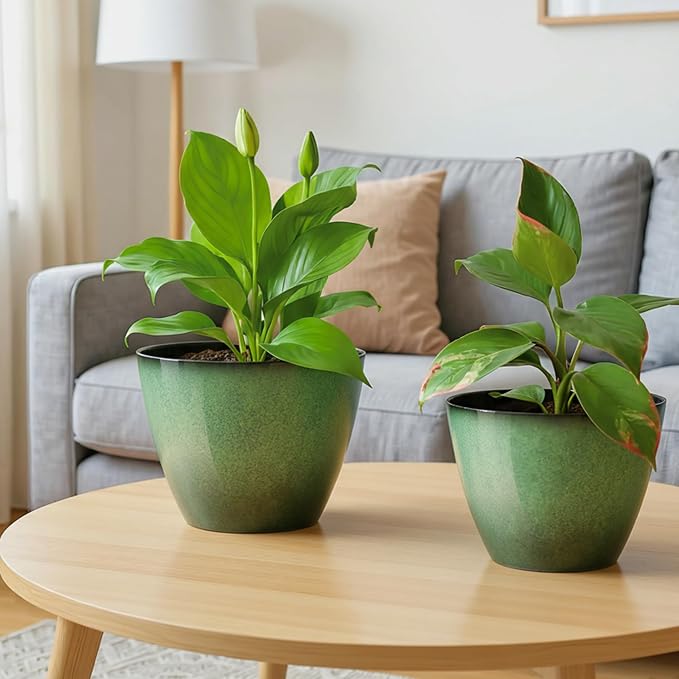 2 Pack Plant Pots for Indoor Outdoor Plants, 8 inch Plastic Flower Pots - Image 5