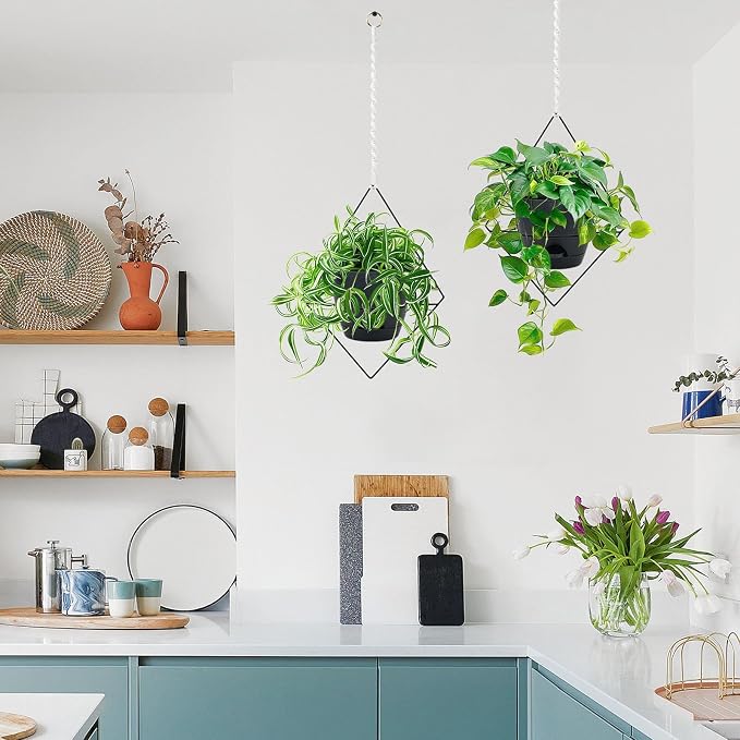 Hanging Planters for Indoor Plants, 2 Set Self Watering Hanging Flower Pots - Image 4